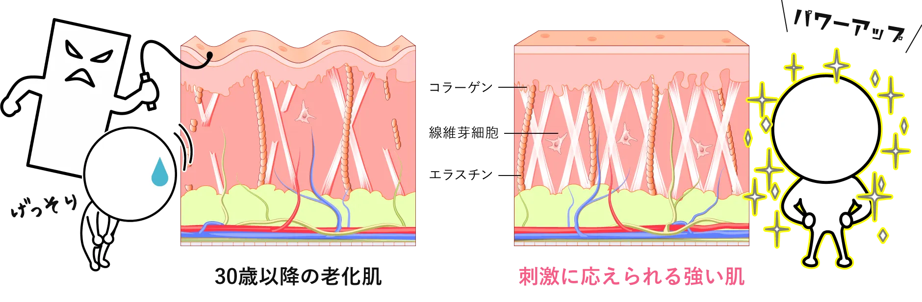 肌の底力UPで刺激に応えられる強い肌