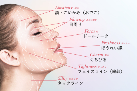 部位ごとにより注入技術が異なる